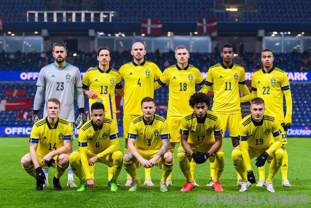 瑞典欧洲杯名单，瑞典欧洲杯球员名单吗